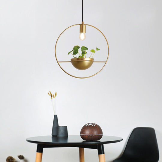 Gold Circular Iron 1-Head Pendant Light Fixture - Elegant Dining Room Plant Lighting