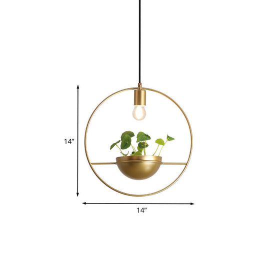 Modern Gold Iron Hanging Light Fixture: 1-Head Pendant Lighting For Dining Room Or Plants