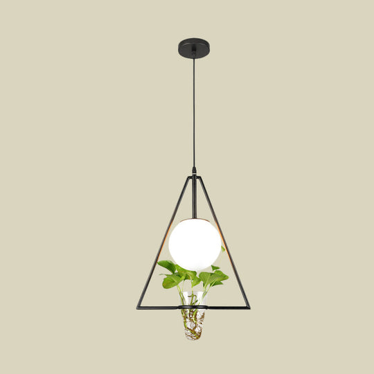 Industrial 1-Light Pendant With Glass Globe Triangle Cage And Plant Pot In Black/Grey/Gold