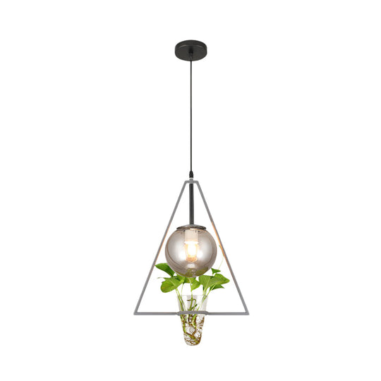 Smoke Gray Glass Pendant Light with Unique Triangle Frame and Plant Pot for Modern Bedroom