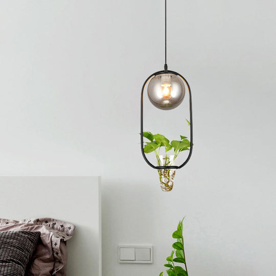 Industrial Smoke Gray Glass Pendant Lamp with Oval Cage and Plant Cup" - One-Bulb Ceiling Light in Black/Grey/Gold.