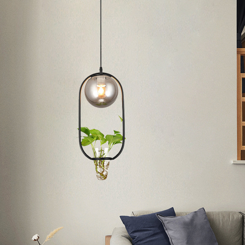 Industrial Smoke Gray Glass Pendant Lamp with Oval Cage and Plant Cup" - One-Bulb Ceiling Light in Black/Grey/Gold.