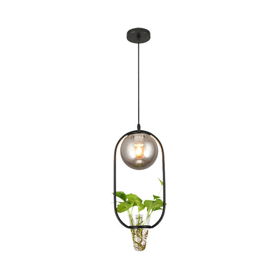 Industrial Smoke Gray Glass Pendant Lamp with Oval Cage and Plant Cup" - One-Bulb Ceiling Light in Black/Grey/Gold.