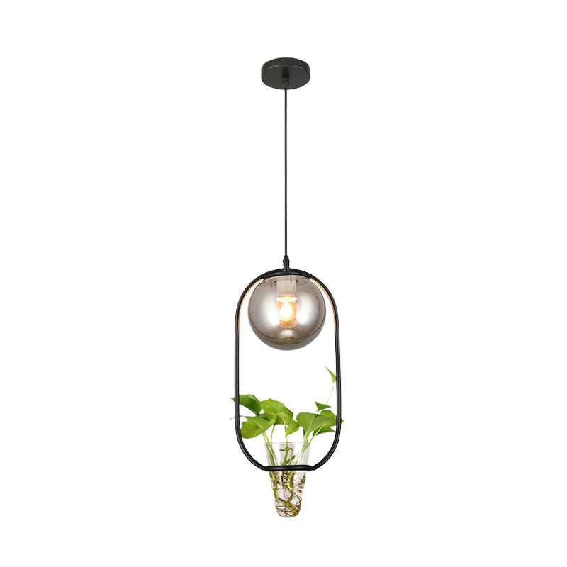 Industrial Global Hanging Ceiling Light - Smoke Gray Glass Pendant Lamp With Oval Cage And Plant Cup