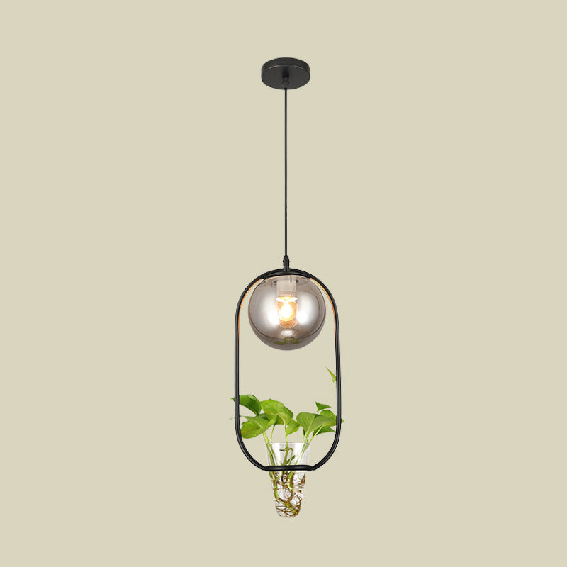 Industrial Smoke Gray Glass Pendant Lamp with Oval Cage and Plant Cup" - One-Bulb Ceiling Light in Black/Grey/Gold.