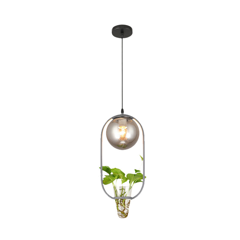 Industrial Smoke Gray Glass Pendant Lamp with Oval Cage and Plant Cup" - One-Bulb Ceiling Light in Black/Grey/Gold.