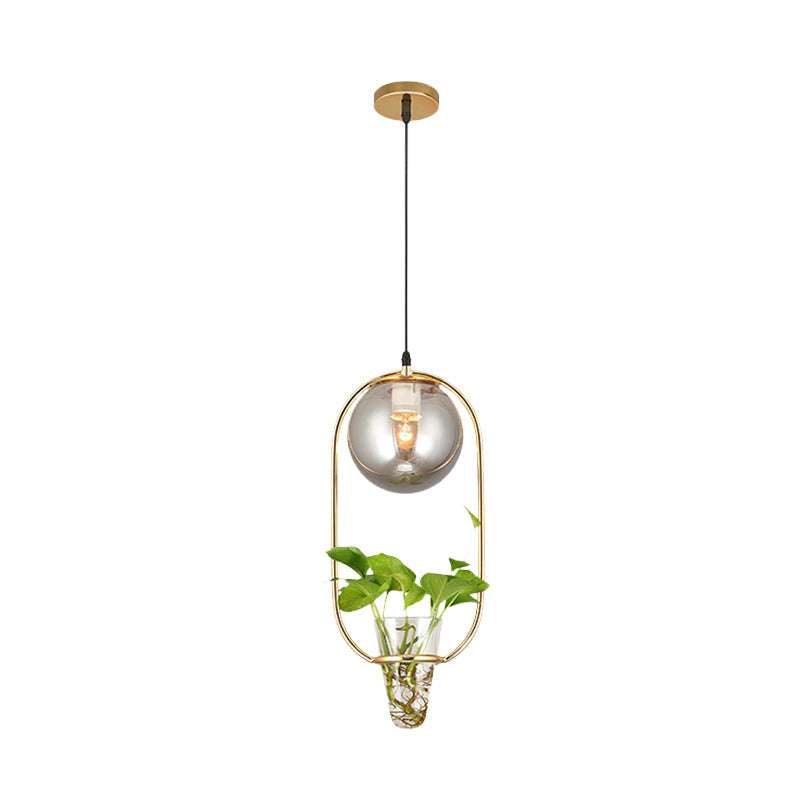 Industrial Smoke Gray Glass Pendant Lamp with Oval Cage and Plant Cup" - One-Bulb Ceiling Light in Black/Grey/Gold.