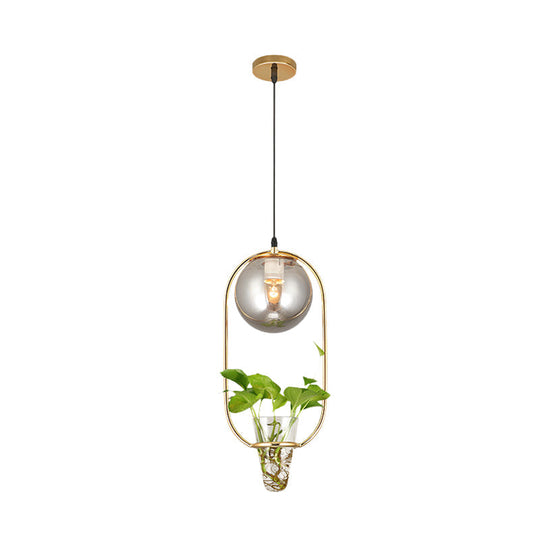 Industrial Global Hanging Ceiling Light - Smoke Gray Glass Pendant Lamp With Oval Cage And Plant Cup