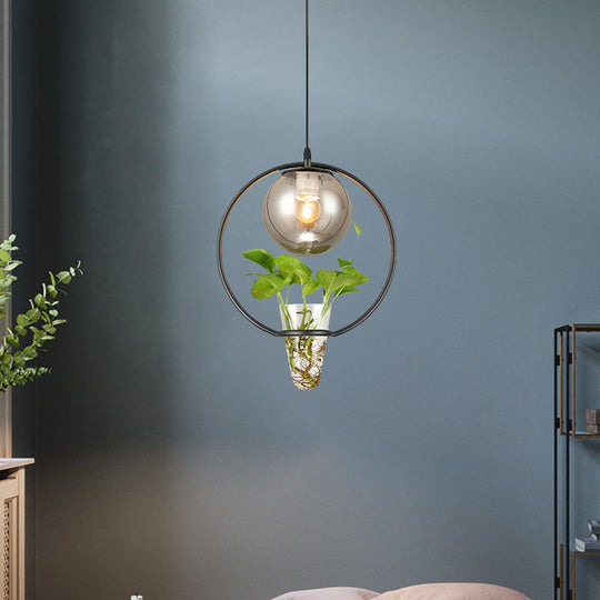 Smoke Gray Glass Ceiling Light With Iron Ring And Plant Cup - 1 Pendant For Restaurants Warehouses