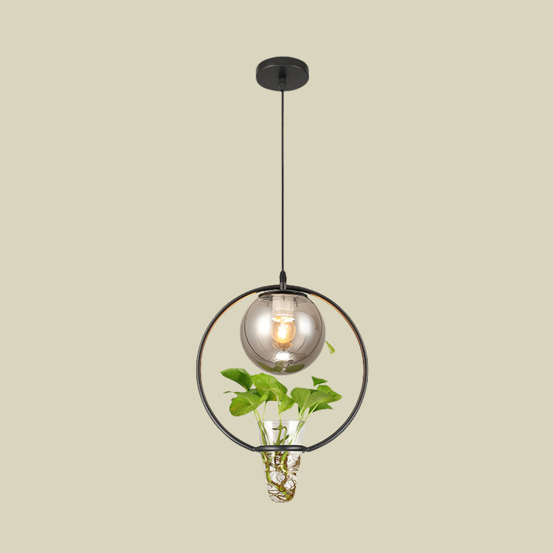 Smoke Gray Glass Ceiling Light Pendant for Restaurants and Warehouses with Black/Grey/Gold Accents and Iron Ring