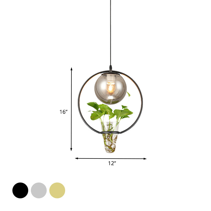 Smoke Gray Glass Ceiling Light With Iron Ring And Plant Cup - 1 Pendant For Restaurants Warehouses