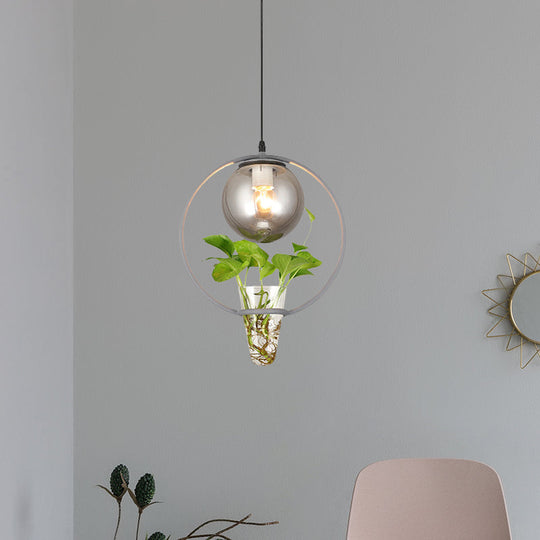 Smoke Gray Glass Ceiling Light With Iron Ring And Plant Cup - 1 Pendant For Restaurants Warehouses