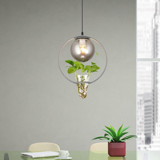 Smoke Gray Glass Ceiling Light Pendant for Restaurants and Warehouses with Black/Grey/Gold Accents and Iron Ring