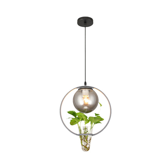 Smoke Gray Glass Ceiling Light Pendant for Restaurants and Warehouses with Black/Grey/Gold Accents and Iron Ring