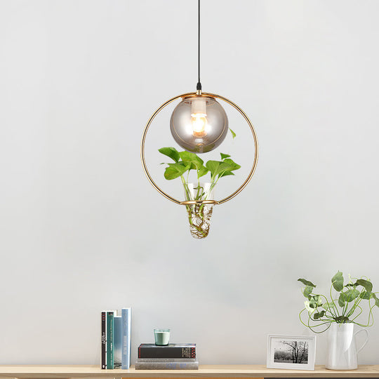 Smoke Gray Glass Ceiling Light With Iron Ring And Plant Cup - 1 Pendant For Restaurants Warehouses