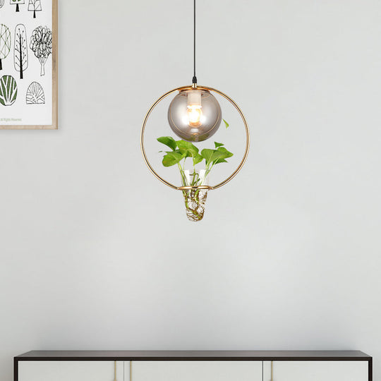 Smoke Gray Glass Ceiling Light With Iron Ring And Plant Cup - 1 Pendant For Restaurants Warehouses