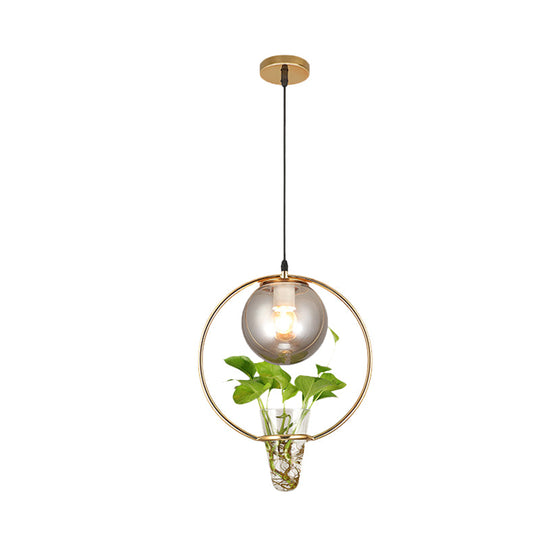 Smoke Gray Glass Ceiling Light With Iron Ring And Plant Cup - 1 Pendant For Restaurants Warehouses