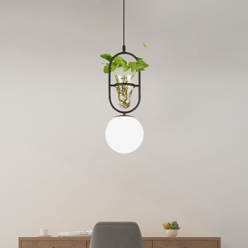 Modern Elliptical Iron Pendant Lamp With Sphere Glass Shade & Plant Cup - 1 Light Black/Grey/Gold