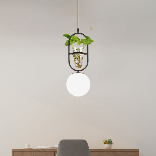 Modern Elliptical Iron Pendant Lamp With Sphere Glass Shade & Plant Cup - 1 Light Black/Grey/Gold