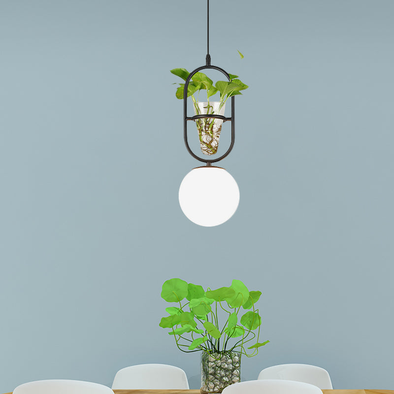 Modern Elliptical Iron Pendant Lamp With Sphere Glass Shade & Plant Cup - 1 Light Black/Grey/Gold