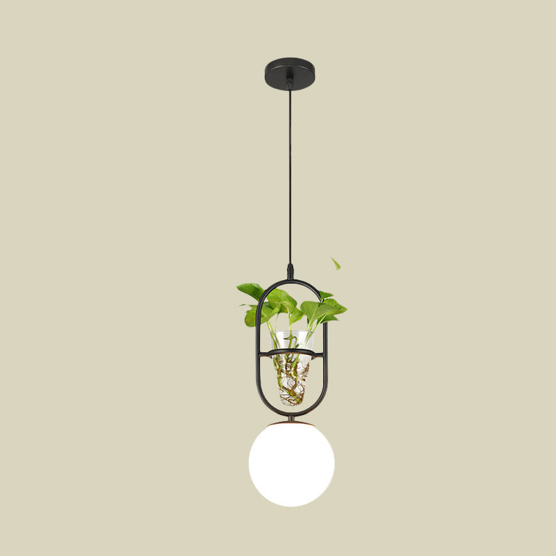 Modern Elliptical Iron Pendant Lamp With Sphere Glass Shade & Plant Cup - 1 Light Black/Grey/Gold