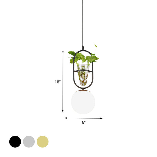 Modern Elliptical Iron Pendant Lamp With Sphere Glass Shade & Plant Cup - 1 Light Black/Grey/Gold