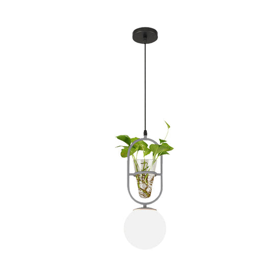 Modern Elliptical Iron Pendant Lamp With Sphere Glass Shade & Plant Cup - 1 Light Black/Grey/Gold