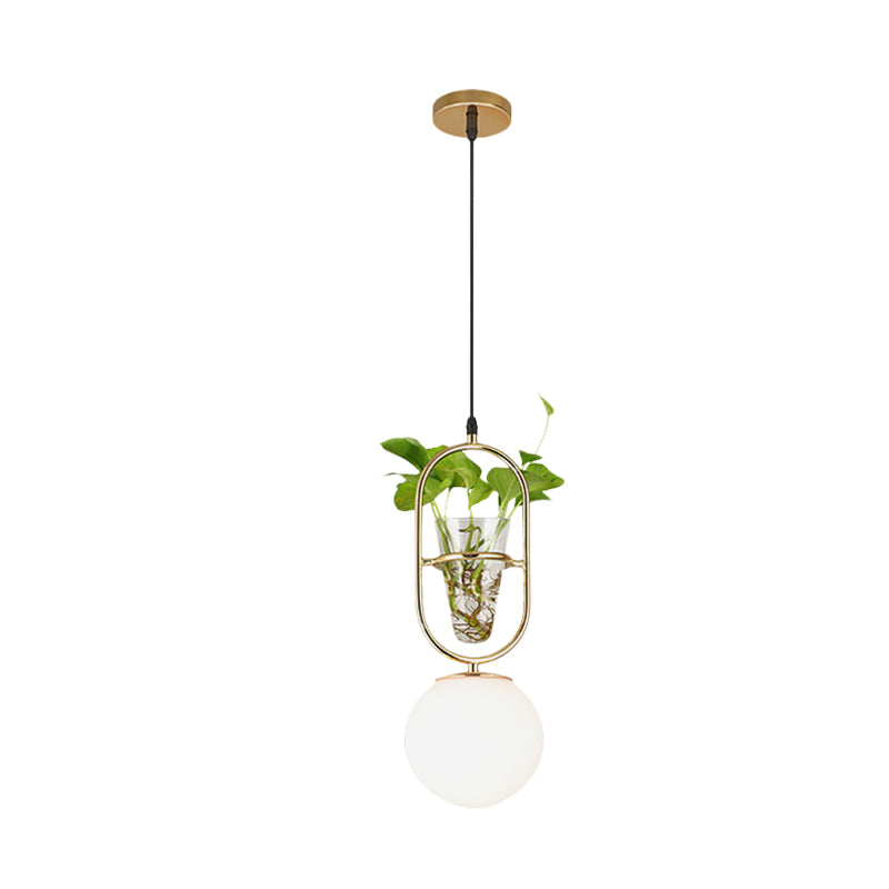 Modern Elliptical Iron Pendant Lamp With Sphere Glass Shade & Plant Cup - 1 Light Black/Grey/Gold