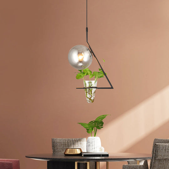 Industrial Smoke Gray Glass Sphere Bedroom Suspension Light with Plant Cup