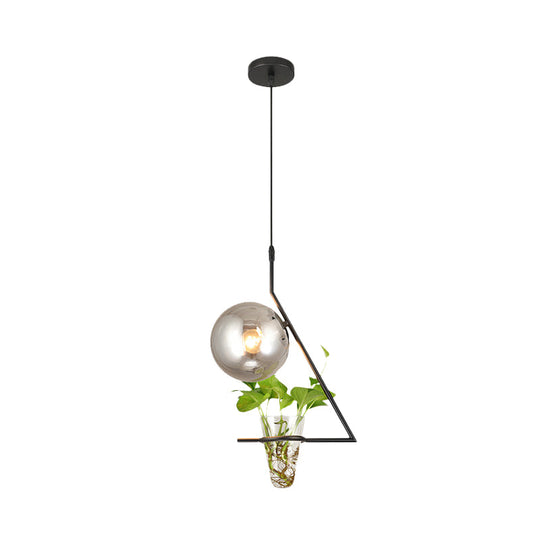 Industrial Smoke Gray Glass Sphere Bedroom Suspension Light with Plant Cup