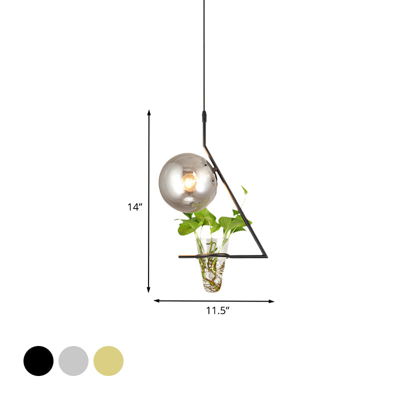 Industrial Smoke Gray Glass Sphere Bedroom Suspension Light with Plant Cup