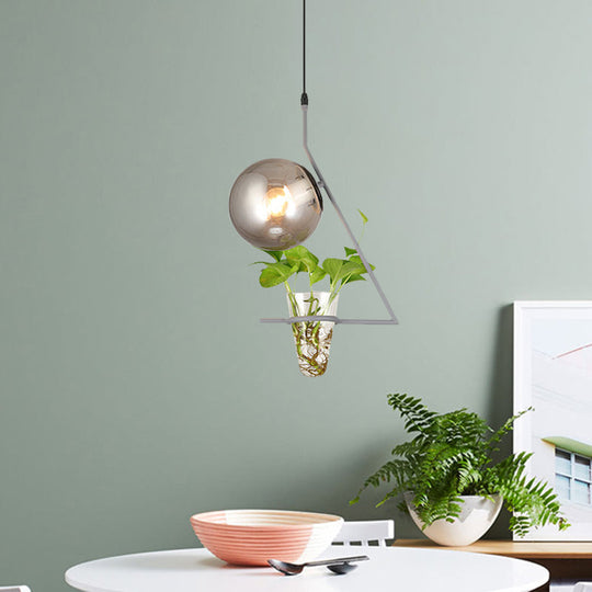 Industrial Smoke Gray Glass Sphere Bedroom Suspension Light with Plant Cup