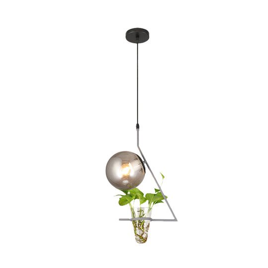 Industrial Smoke Gray Glass Sphere Bedroom Suspension Light with Plant Cup