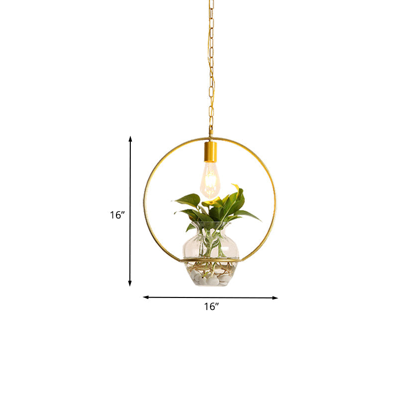 Golden Vintage Pendant Light with 1 Bulb and Potted Plant for Living Room