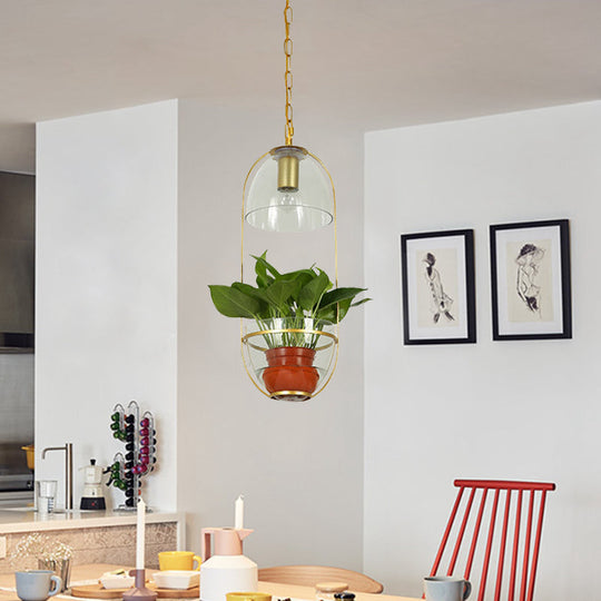 Farmhouse Pendant Lighting Fixture With Clear Glass Bowl And Oval Cage In White/Gold Gold