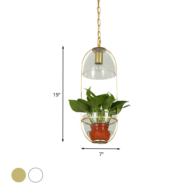 Farmhouse Pendant Light: White/Gold Drop Lamp with Clear Glass Bowl Shade, Oval Cage Fixture