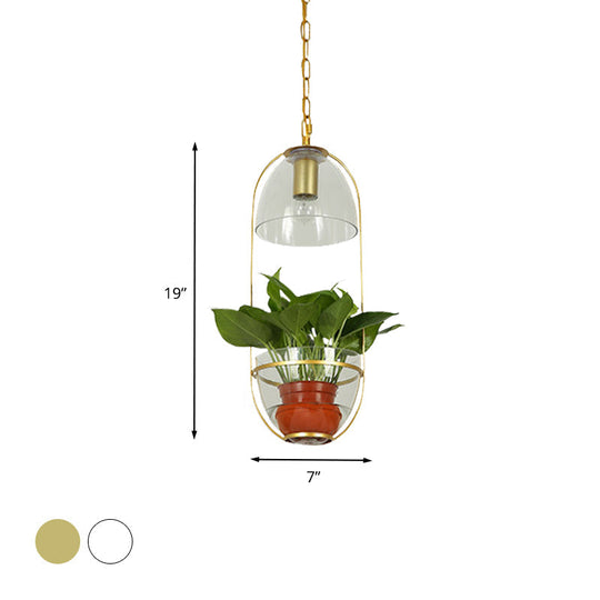 Farmhouse Pendant Light: White/Gold Drop Lamp with Clear Glass Bowl Shade, Oval Cage Fixture