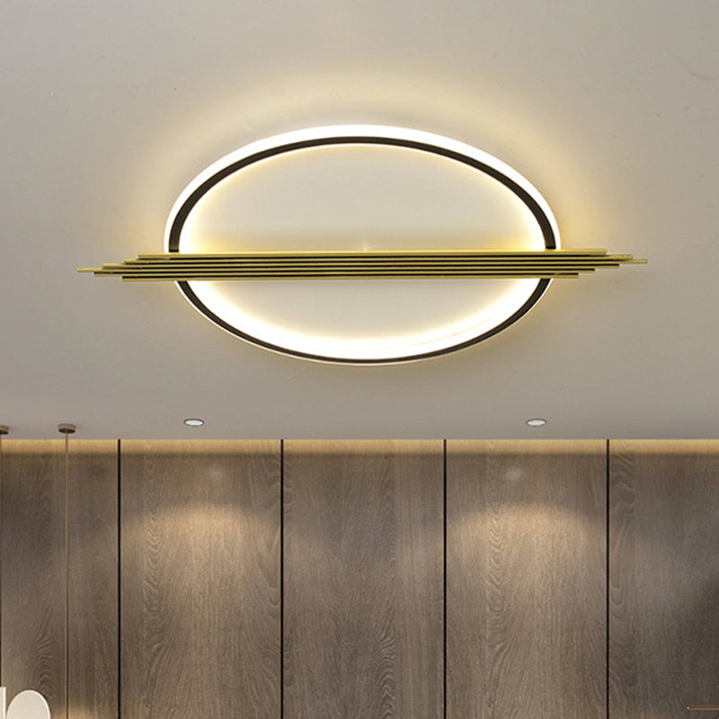 Gold-Black Circle LED Flushmount Ceiling Light with Acrylic Shade, Warm/White Light, 24.5"/28.5" W