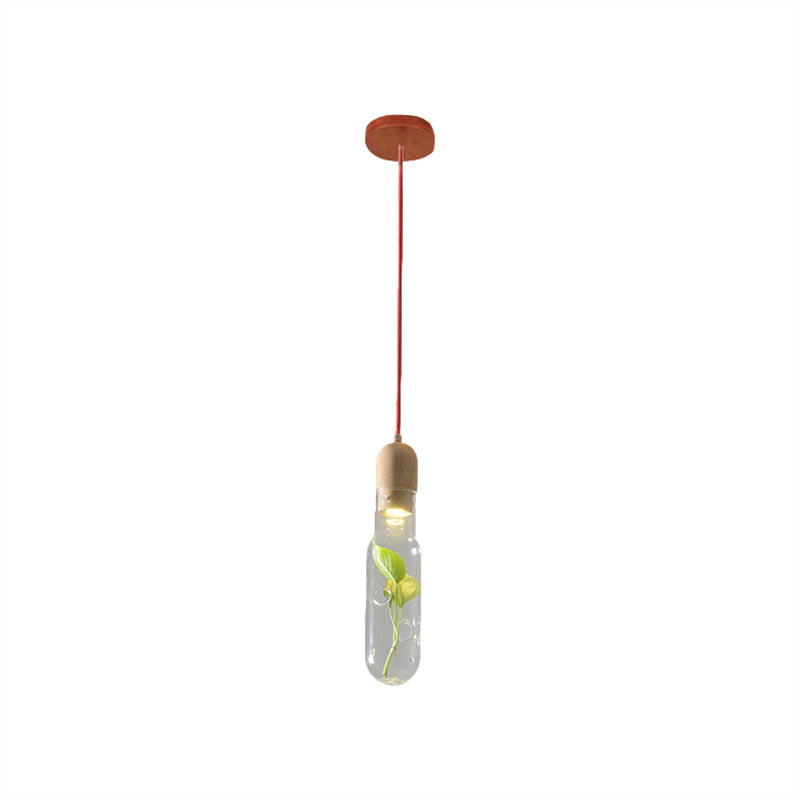 1-Head Led Pendant Light With Clear Glass Factory Bottle Design And Inner Plant Decoration For