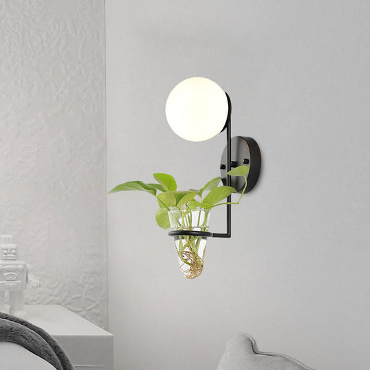 Industrial Global Cream/Smoke Gray Glass Wall Sconce Lamp With Clear Plant Cup - Black/Gold Finish