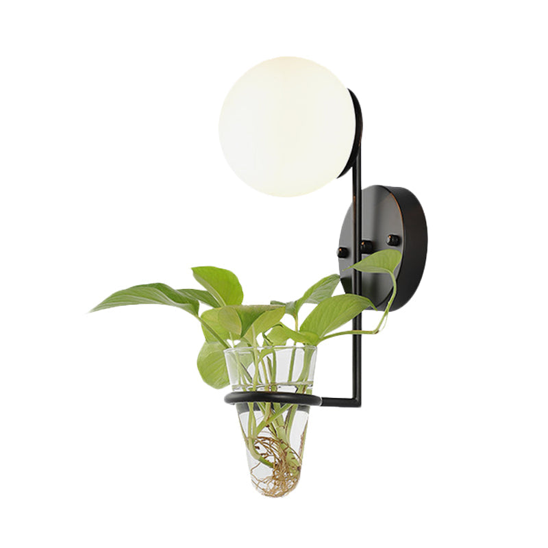 Industrial Global Cream/Smoke Gray Glass Wall Sconce Lamp With Clear Plant Cup - Black/Gold Finish