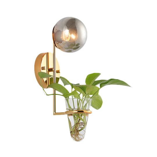 Industrial Global Cream/Smoke Gray Glass Wall Sconce Lamp With Clear Plant Cup - Black/Gold Finish