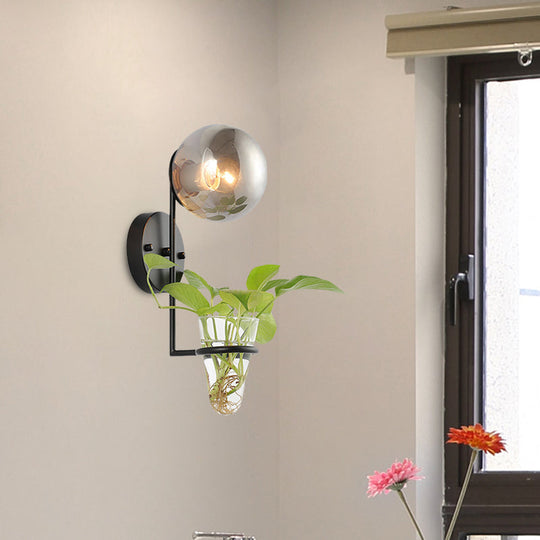 Industrial Global Cream/Smoke Gray Glass Wall Sconce Lamp With Clear Plant Cup - Black/Gold Finish