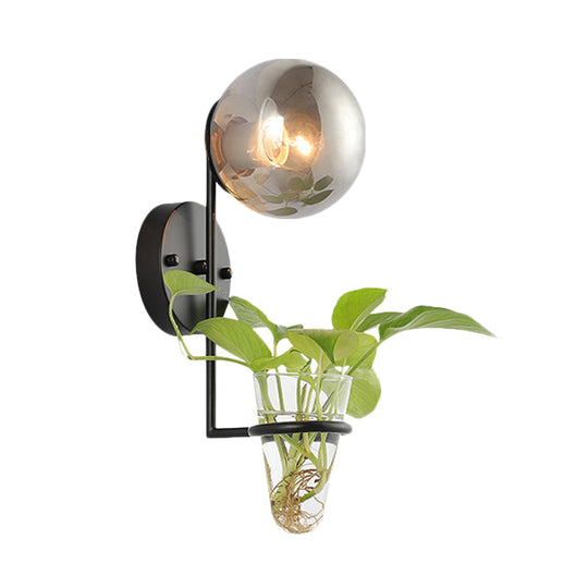 Industrial Global Cream/Smoke Gray Glass Wall Sconce Lamp With Clear Plant Cup - Black/Gold Finish