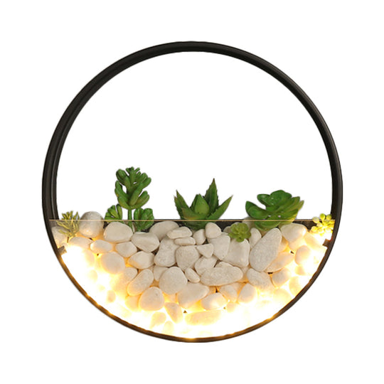 Big O Acrylic Sconce Light With Lovely Faux Succulent & Stone For Living Room Bedroom