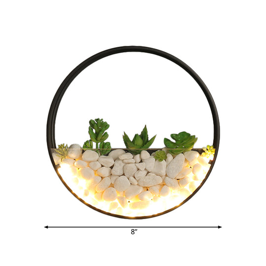 Big O Acrylic Sconce Light With Lovely Faux Succulent & Stone For Living Room Bedroom