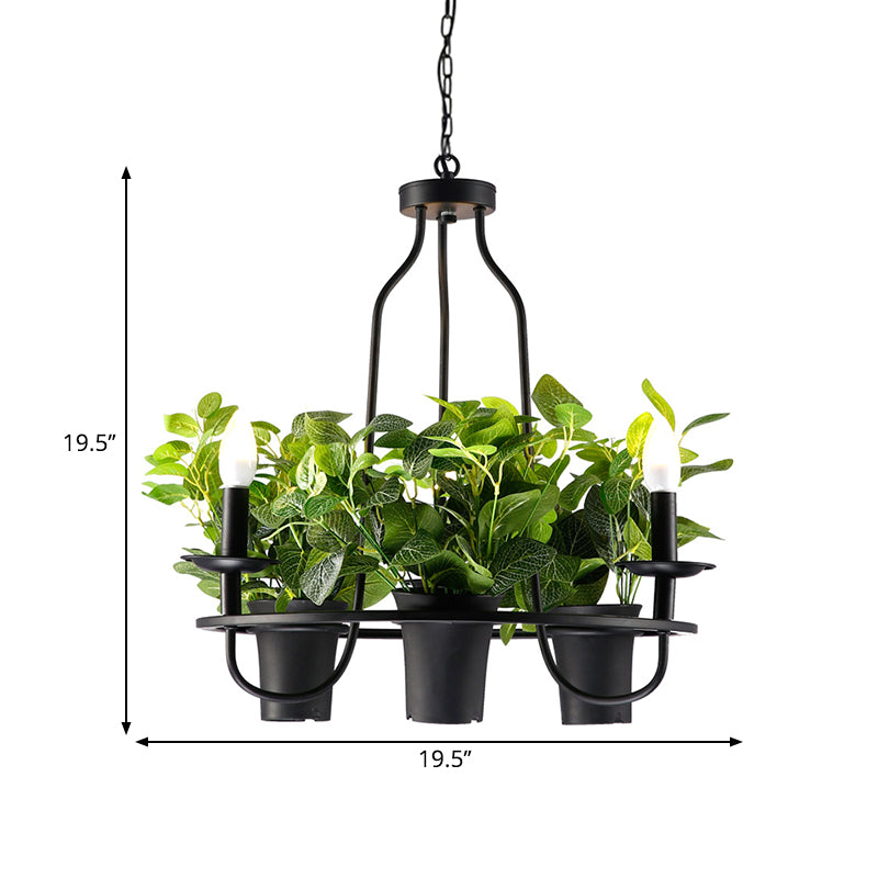 Vintage Bonsai Ceiling Chandelier with Iron Pendant Light in Black, 3/6 Bulbs, 1/2-Layer Design, 19.5"/27.5" Width