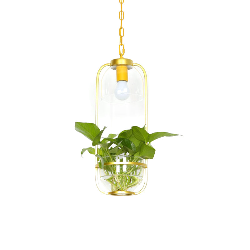 Modern Iron Farmhouse Led Pendant Lamp With Plant Pot - Black/White/Gold Warm/White Light Gold /