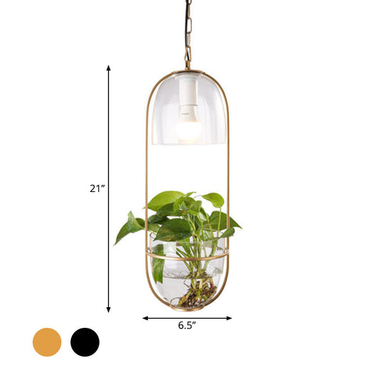 Black/Gold Oblong Pendant Lamp with Clear Glass Shade and Fish Bowl - Perfect for Dorm Rooms and Rural Décor