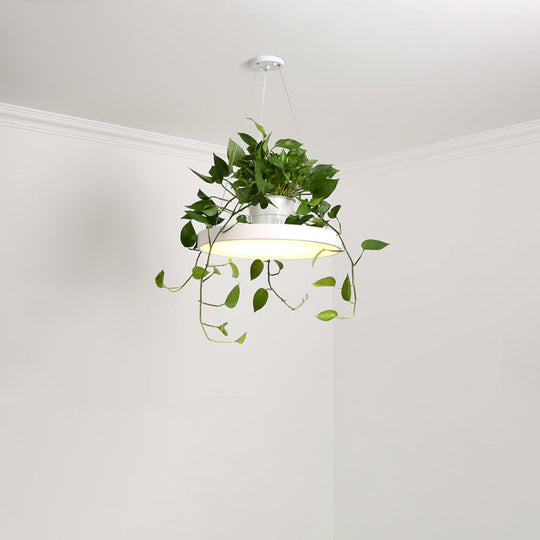 Brooklyn - Round Macaron Round Hanging Light Acrylic LED Pendant Lighting Fixture in Black/Grey/White with Top Plant Pot